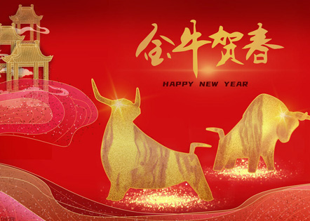  自我介绍作文450字