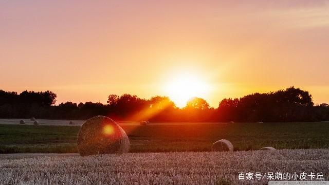  新好男人不能带“体味儿”