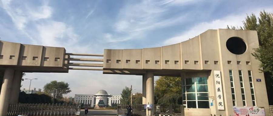 2024沈阳医学院排名-最新全国排名第324位
