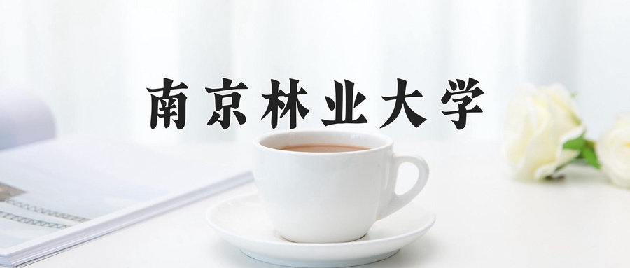 2025年全国工商管理专业大学排名及院校榜单