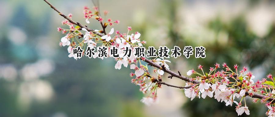 哈尔滨电力职业技术学院