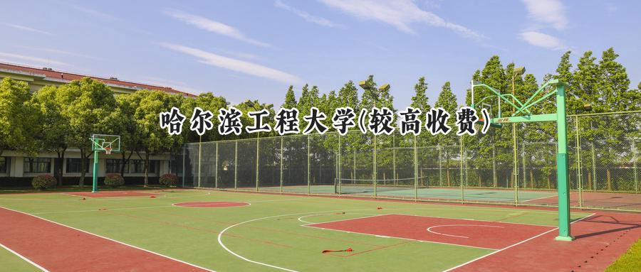 哈尔滨工程大学(较高收费)