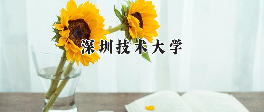 深圳技术大学