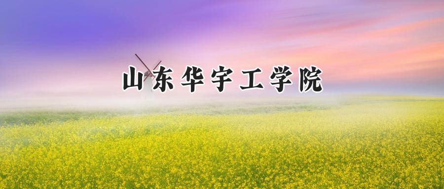  2025山东华宇工学院录取分数线：河南最低423分