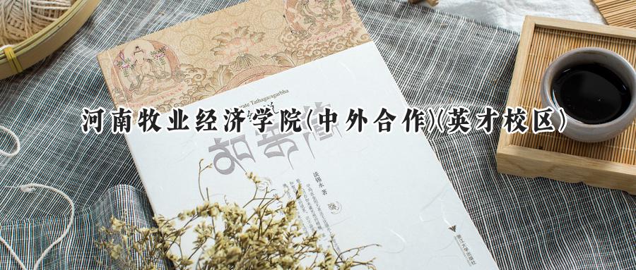  2025河南牧业经济学院中外合作英才校区录取分数线：河南最低299分