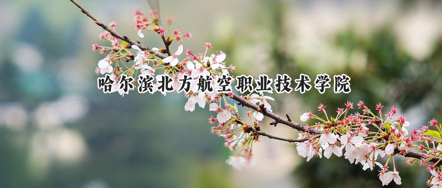 哈尔滨北方航空职业技术学院