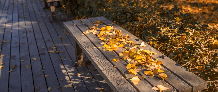  山东2025年高考普通类、艺体类首次志愿填报正式启动！注意事项一览