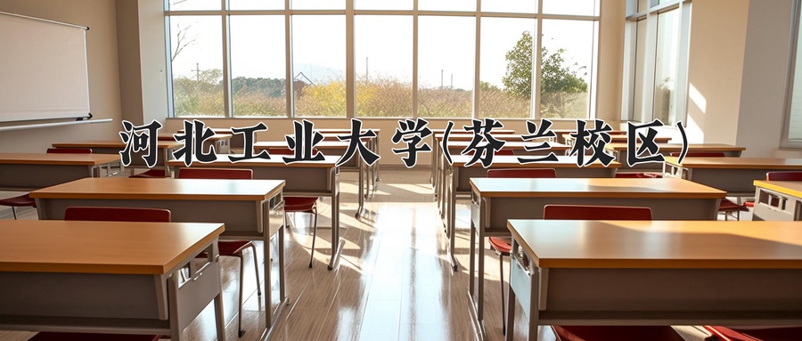 2024年河北工业大学(芬兰校区)河北招生计划(含学费及专业录取分数)