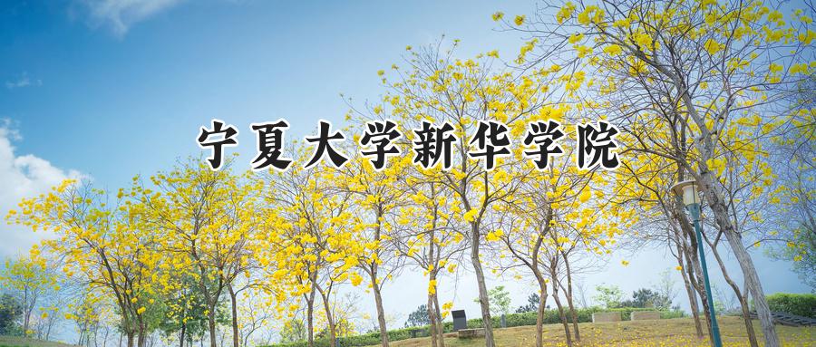  2025宁夏大学新华学院录取分数线：河南最低396分