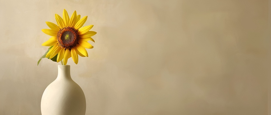  2025年贵州高考历史类录取分数线公布：本科458分、特殊类型招生控制线517分、专科180分