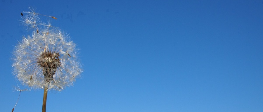  2025年重庆高考政治试题与参考答案（官方最新发布）