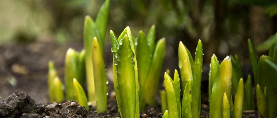  重庆市2025年高考政治真题试卷及答案（完整清晰版）