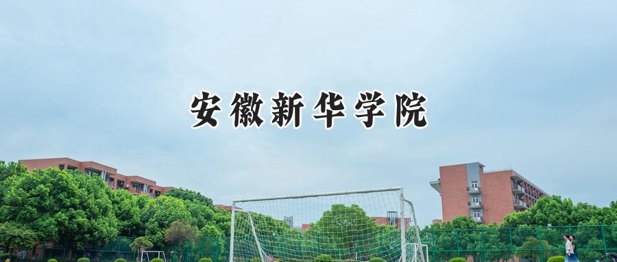 安徽新华学院