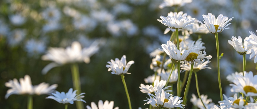  北京2025年高考地理真题试卷及答案汇总（高清版）