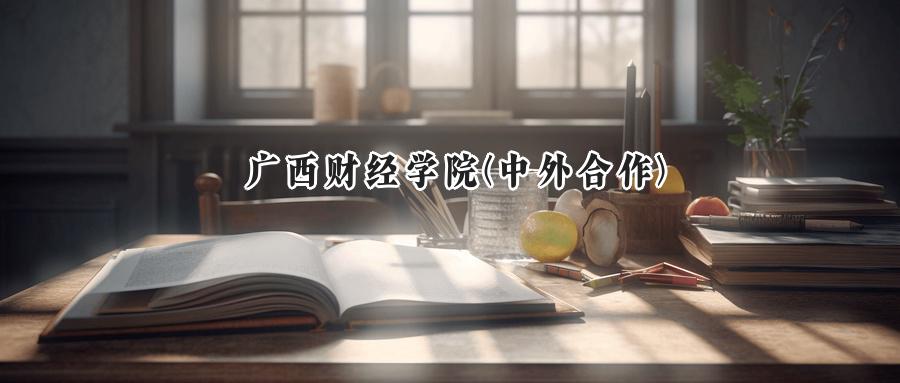 广西财经学院(中外合作)