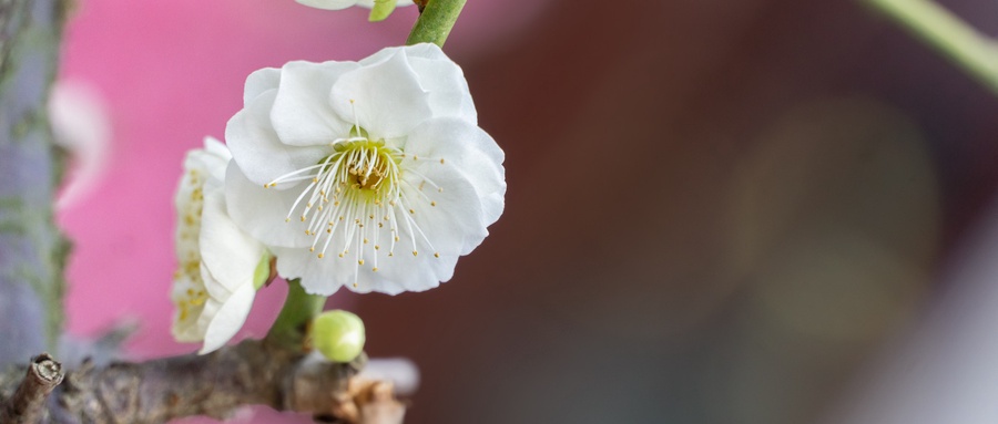  官方最新发布：2025年北京高考地理真题及参考答案