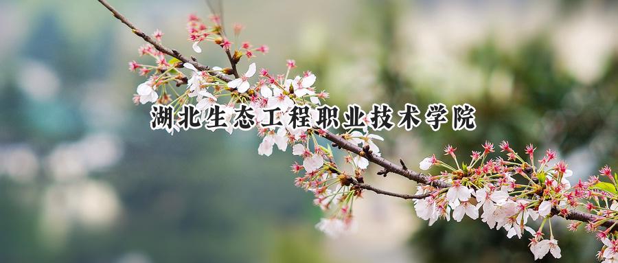  2025年湖北生态工程职业技术学院录取分数线：重庆考生最低370分