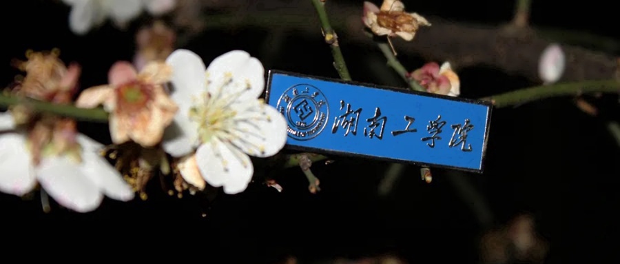  2024年湖南工学院全国各省录取分数线（含最低分及最低位次）