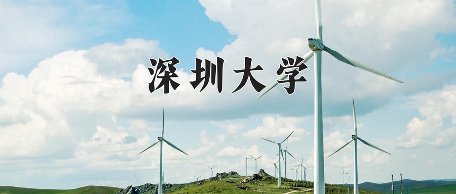  好的，这里提供几个润色后的版本，均已在年份后加“年”字，您可以根据偏好选择。

**1. 简洁通用版**
这个版本通过使用“汇总”等词语，使表达更精炼、书面化，适合通用场景。
> 2024年深圳