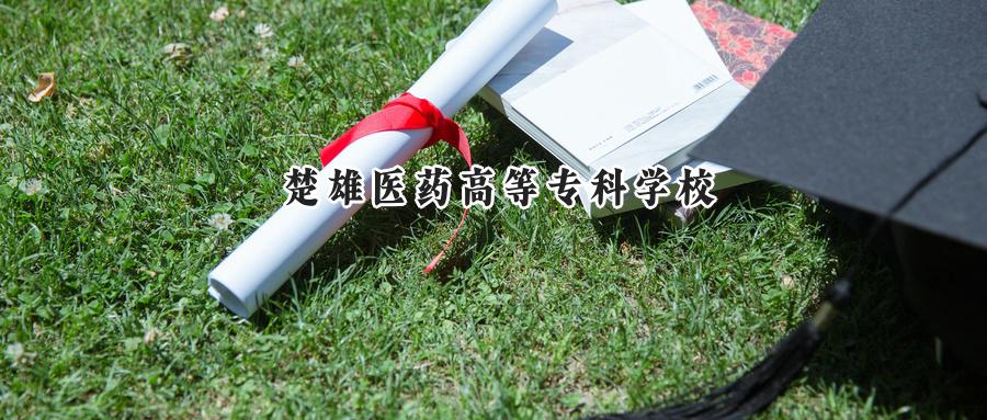 楚雄医药高等专科学校