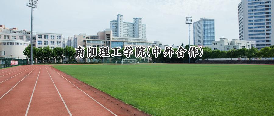 2024年南阳理工学院(中外合作)录取分数线公布:河南最低437分