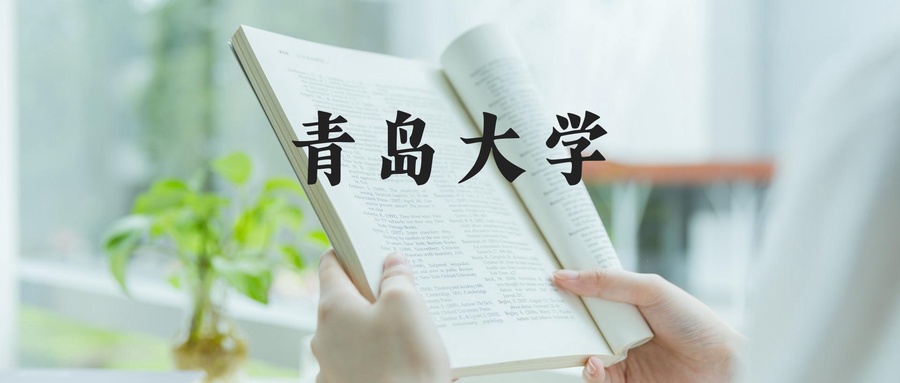  青岛大学2022年-2024年在河北省录取最低分数线