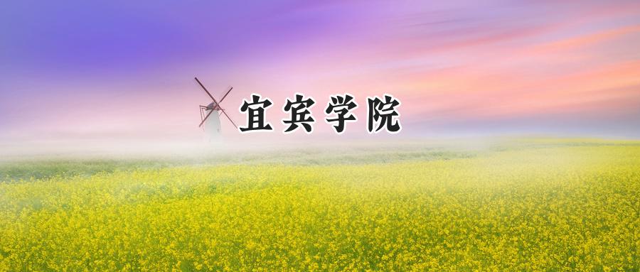 宜宾学院