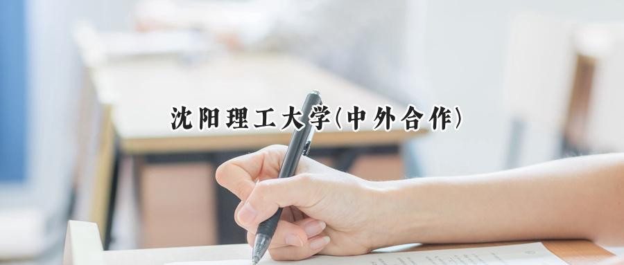  好的，这里有几个润色后的版本供您选择，均已按要求在年份后加上“年”字。

**1. 简洁清晰版**
这个版本在原文基础上微调，通过加入“公布”和“为”等字眼，使语句更通顺、表述更正式。
> 20