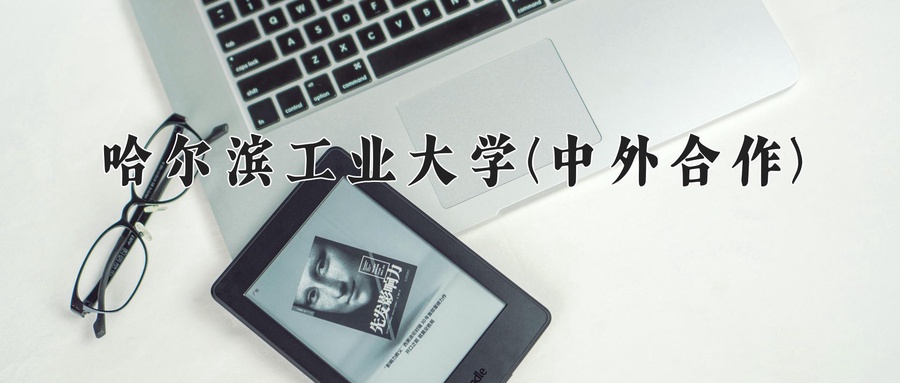 2025年重庆考生上哈尔滨工业大学(中外合作)最低分数为618分