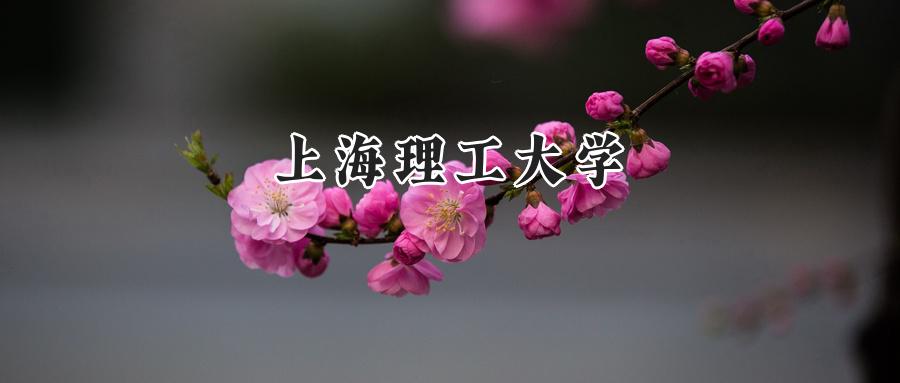  2025年上海理工大学录取分数线：重庆最低565分