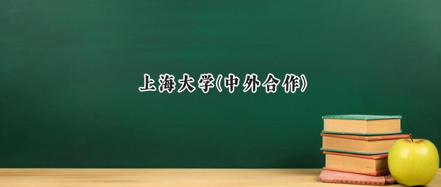  2025年上海大学（中外合作）重庆录取最低分：581分