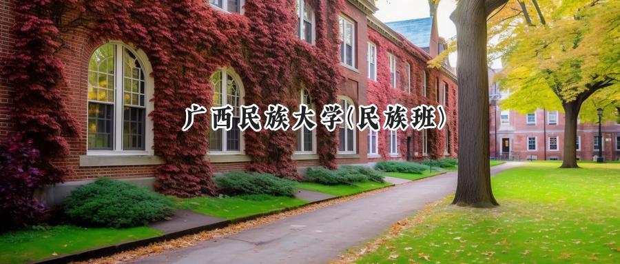  2024年广西民族大学（民族班）在四川录取分数线：最低493分，最高500分