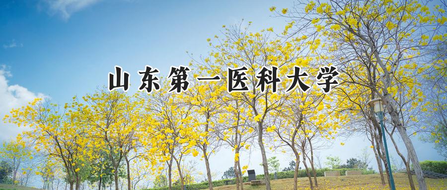 2024年山东第一医科大学河南录取分数线:最低508分