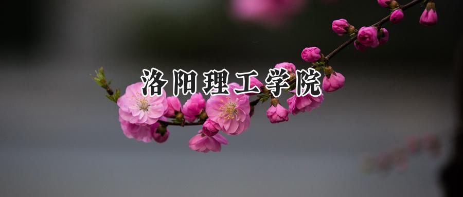 2024年洛阳理工学院录取最低分数线:河南498分