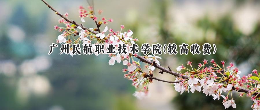 2024年广州民航职业技术学院(较高收费)录取分数线:河南最低386分