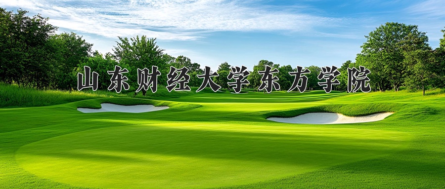 山东财经大学东方学院2025年学费及各专业收费标准