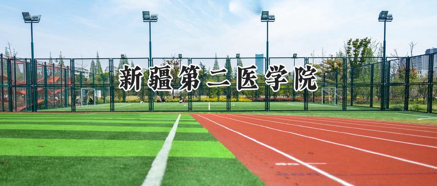 2025年新疆第二医学院录取分数线:重庆最低484分