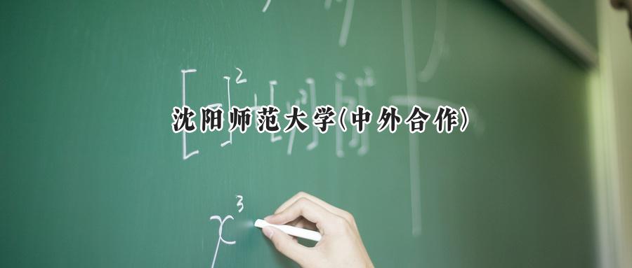 2024年沈阳师范大学(中外合作)录取分数线:河南省最低录取分数464分