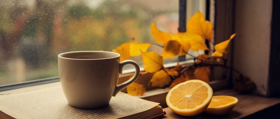 2025年QS世界大学学科排名:历史学前十