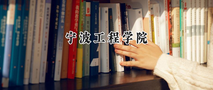 2024年宁波工程学院河南录取最低分:452分
