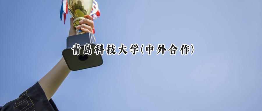 2024年青岛科技大学(中外合作)录取分数线:河南最低514分