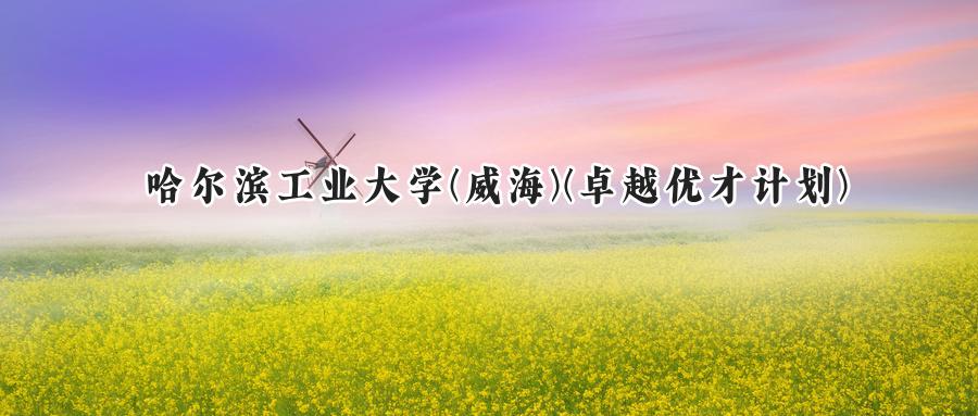 2024年哈尔滨工业大学(威海)卓越优才计划河南录取分数线公布:最低632分