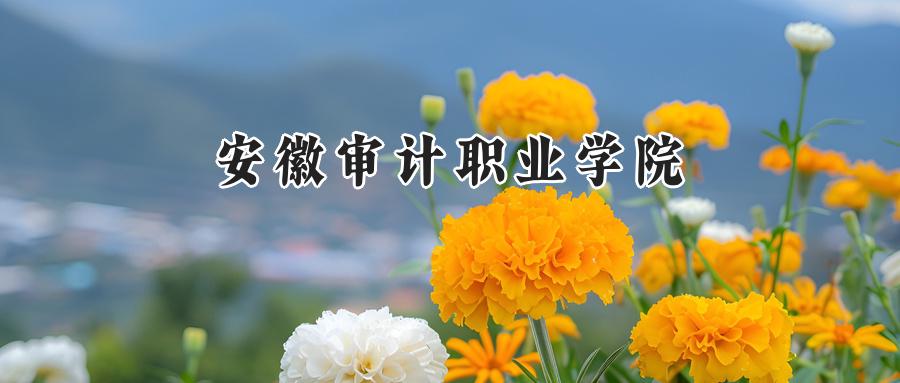 安徽审计职业学院