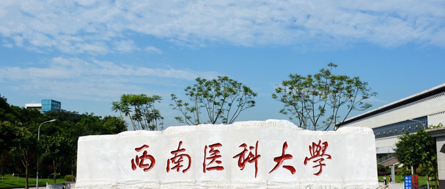  2025西南医科大学排名-最新全国排名第339位