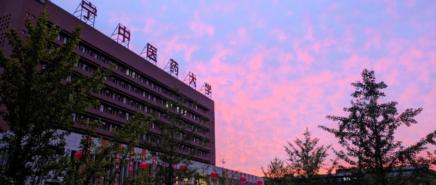  2024辽宁中医药大学排名-最新全国排名第249位