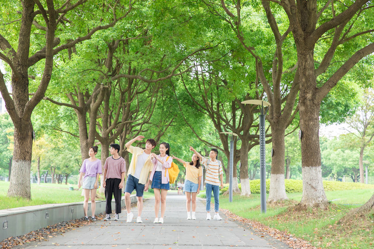 湖北师范大学（Hubei Normal University）近三年录取数据全景分析：2022-2024分数线趋势与2025报考指南