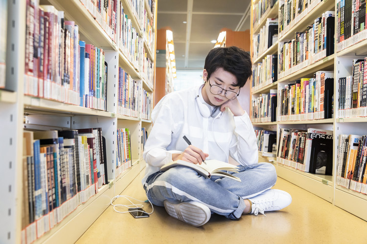 东北电力大学陕西录取数据全解析：近三年分数线与位次趋势（2022-2024）
