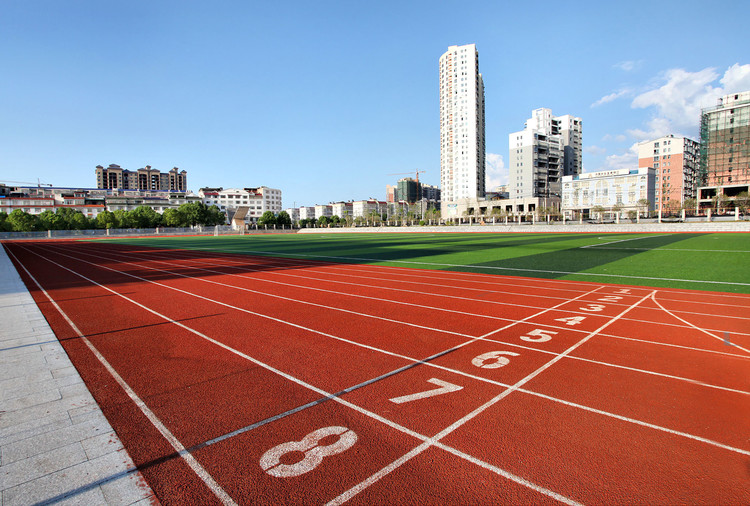 山东师范大学（山师）四川录取数据全解析：2022-2024年分数线与位次趋势