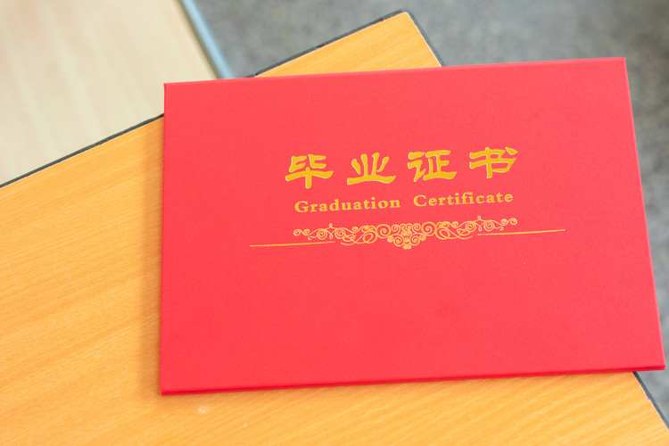 全球健康学专业职业发展指南：就业领域与行业前景解析