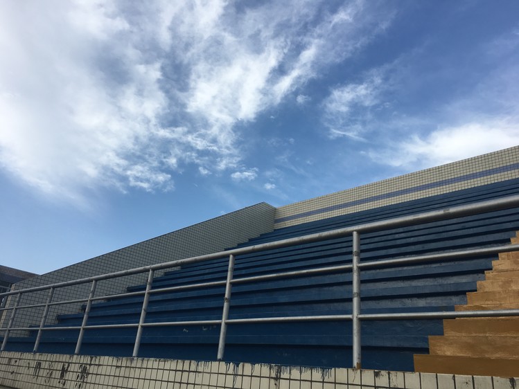 河南农业大学（Henan Agricultural University）近三年录取数据全景分析：2022-2024分数线趋势与2025报考指南